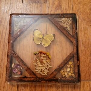 Vintage Resin Butterfly Trivet Seeds Flowers Home Decor Cottage Country 70s